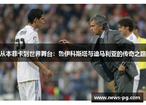 从本菲卡到世界舞台：鲁伊科斯塔与迪马利亚的传奇之路
