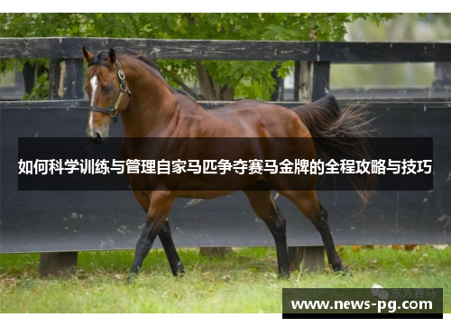 如何科学训练与管理自家马匹争夺赛马金牌的全程攻略与技巧