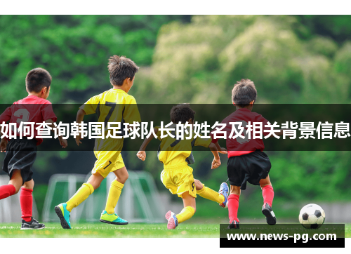 如何查询韩国足球队长的姓名及相关背景信息