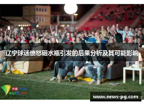 辽宁球迷愤怒砸水瓶引发的后果分析及其可能影响