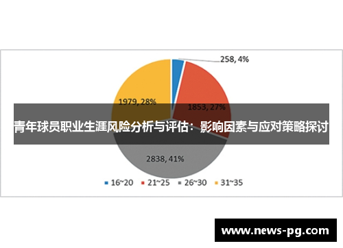 青年球员职业生涯风险分析与评估：影响因素与应对策略探讨