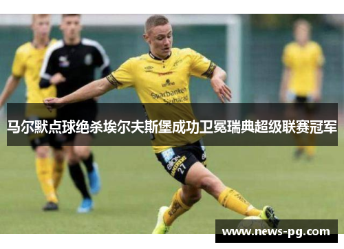 马尔默点球绝杀埃尔夫斯堡成功卫冕瑞典超级联赛冠军 马尔默点球绝杀埃尔夫斯堡成功卫冕瑞典超级联赛冠军