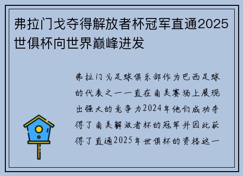 弗拉门戈夺得解放者杯冠军直通2025世俱杯向世界巅峰进发 弗拉门戈夺得解放者杯冠军直通2025世俱杯向世界巅峰进发